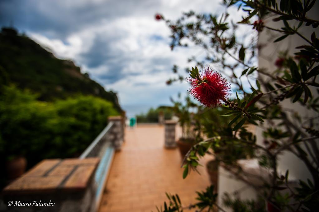 Hotel 4 Stagioni Capri Exterior photo