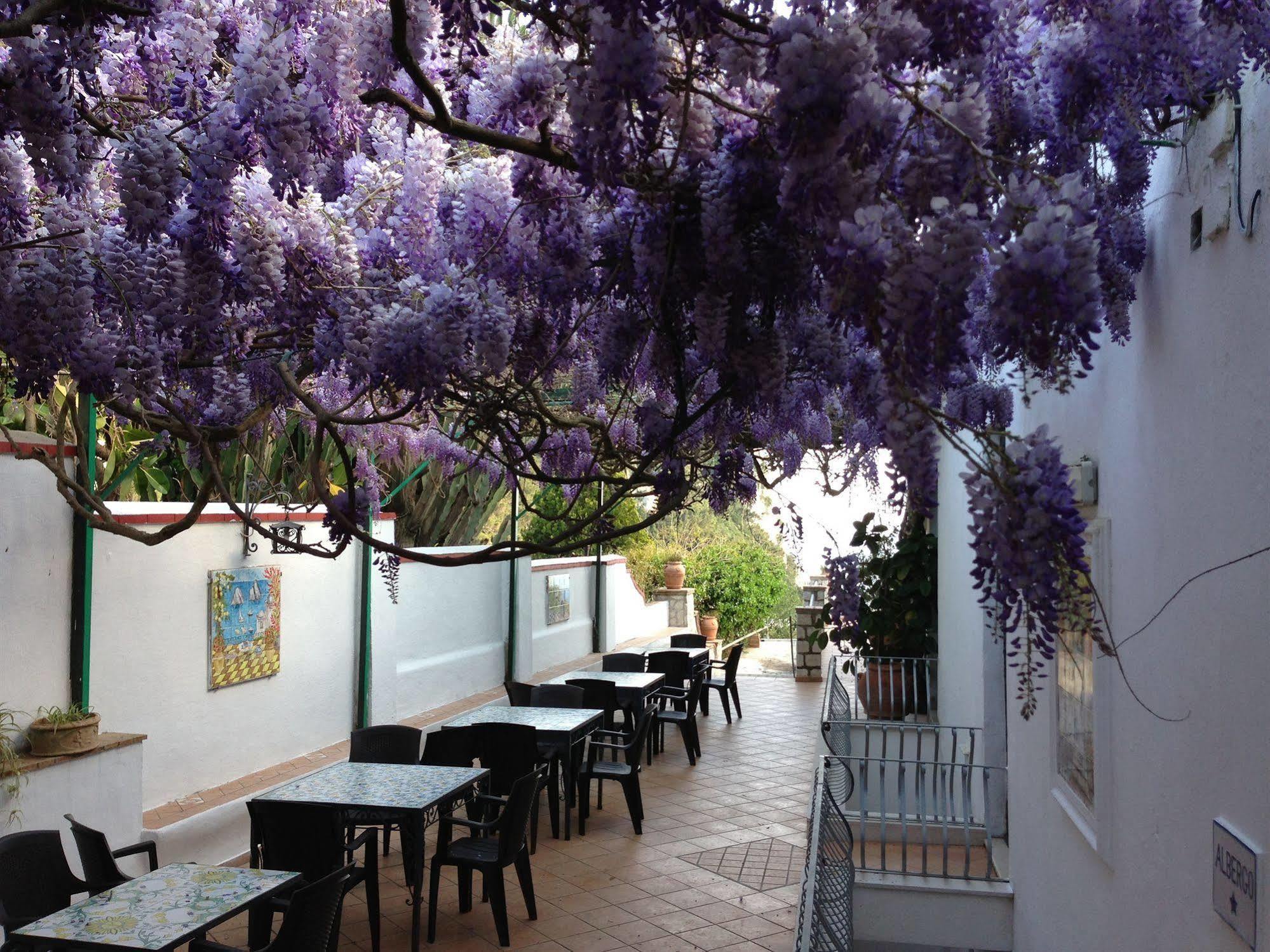 Hotel 4 Stagioni Capri Exterior photo
